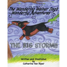 The Wandering Weiner Dog's Wonderful Adventures: The Big Storm!!