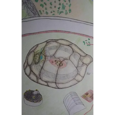 The Turtle Test