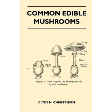 Common Edible Mushrooms