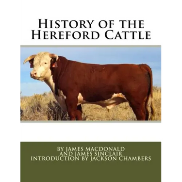 History of the Hereford Cattle