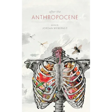 After the Anthropocene