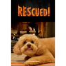 Rescued!
