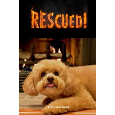 Rescued!