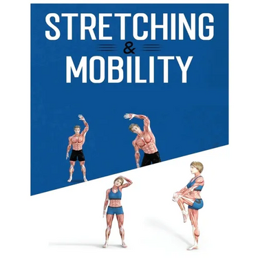 Stretching for Beginners: The Ultimate Guide to Improve Flexibility and Reduce Muscle Tension