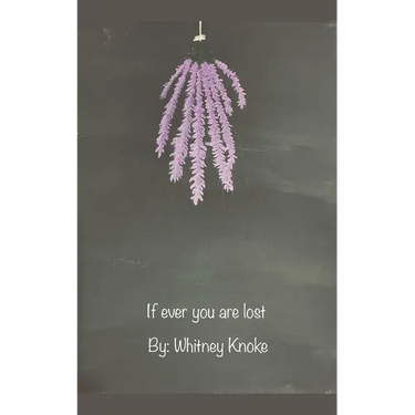 If ever you are lost
