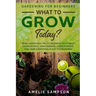Gardening For Beginners: WHAT TO GROW TODAY? - Basic Gardening Tips To Growing Vegetables, Hydroponics, Mini Farming, Hydropopnics, and Herb Gardening