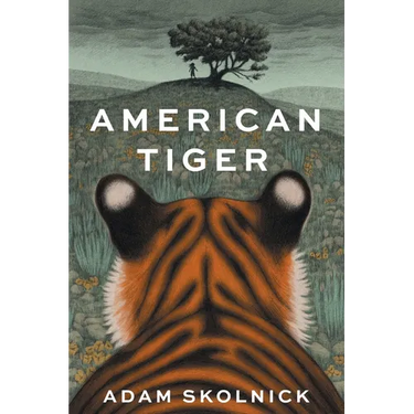 American Tiger