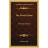 The Pineal Gland: The Eye Of God