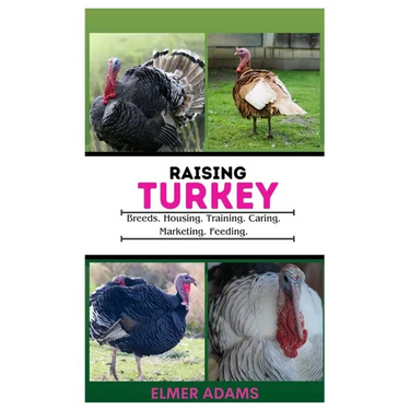 Raising Turkeys: Breads, Housing, Training, Caring, Marketing, Feeding