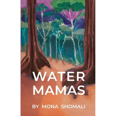 Water Mamas: A Novel of Climate, Spirituality, and Indigenous Human Rights