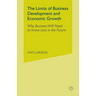 The Limits of Business Development and Economic Growth: Why Business Will Need to Invest Less in the Future
