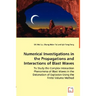 Numerical Investigations in the Propagations and Interactions of Blast Waves