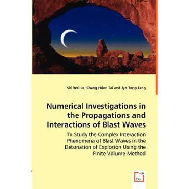 Numerical Investigations in the Propagations and Interactions of Blast Waves