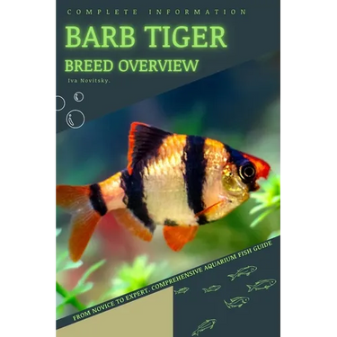 Barb Tiger: From Novice to Expert. Comprehensive Aquarium Fish Guide