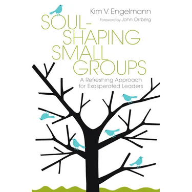 Soul-Shaping Small Groups: A Refreshing Approach for Exasperated Leaders
