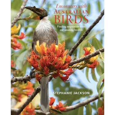 Encounters with Australian Birds: Finding Inspirations from Australia's Amazing Birdlife