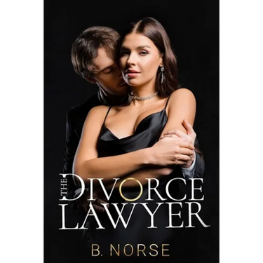 The Divorce Lawyer