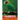 Parrots