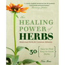 The Healing Power of Herbs: Medicinal Herbs for Common Ailments