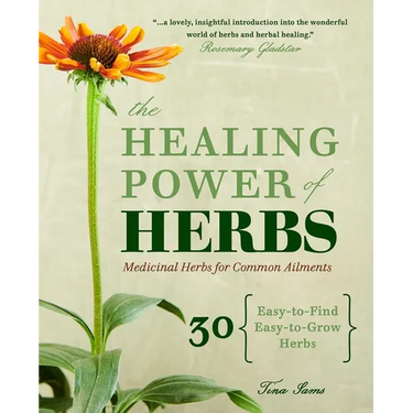 The Healing Power of Herbs: Medicinal Herbs for Common Ailments