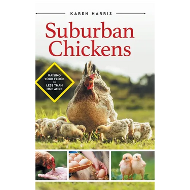 Suburban Chickens: Raising Your Flock on Less Than One Acre