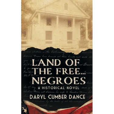 Land of the Free... Negroes: A Historical Novel