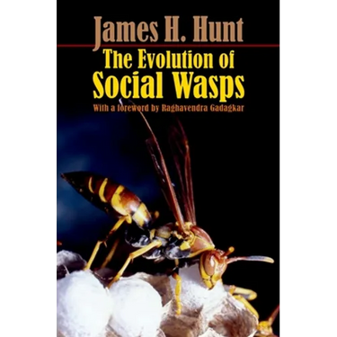The Evolution of Social Wasps
