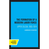 The Formation of a Modern Labor Force: Upper Silesia, 1865-1914