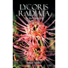 Lycoris Radiata: The Red Spider Lily