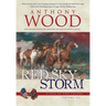 Red Sky Storm: A Story of the Civil War