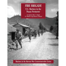 Fire Brigade: U.S. Marines in the Pusan Perimeter