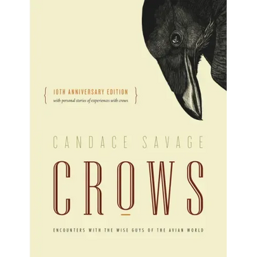 Crows: Encounters with the Wise Guys of the Avian World {10th Anniversary Edition}