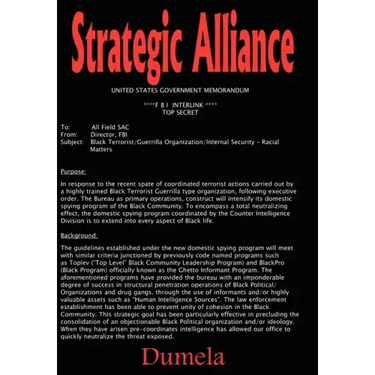 Strategic Alliance