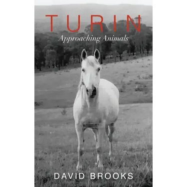 Turin: Approaching Animals