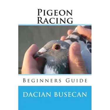 Pigeon Racing: Beginners Guide