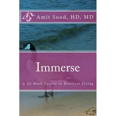 Immerse: A 52-Week Course in Resilient Living: A Commitment to Live With Intentionality, Deeper Presence, Contentment, and Kindness.