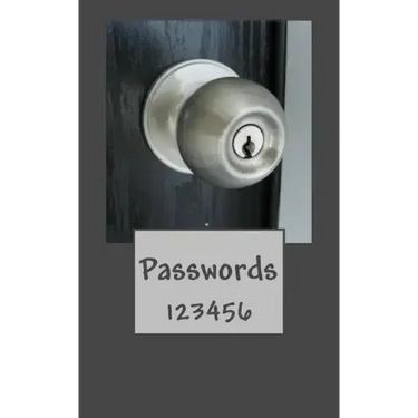 Passwords: 123456