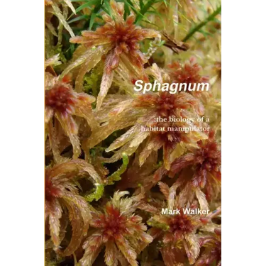 Sphagnum