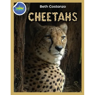Cheetah Activity Workbook ages 4-8