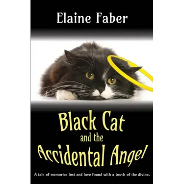 Black Cat and the Accidental Angel