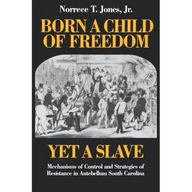 Born a Child of Freedom, Yet a Slave: Mechanisms of Control and Strategies of Resistance in Antebellum South Carolina