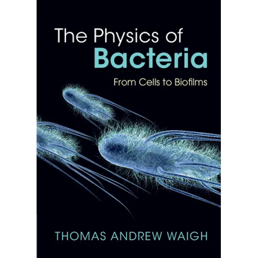The Physics of Bacteria
