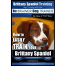 Brittany Spaniel Training Dog Training with the No BRAINER Dog TRAINER We Make it THAT EASY!: How to EASILY TRAIN Your Brittany Spaniel