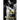 Rev