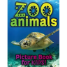Zoo Animals Picture Book for Kids
