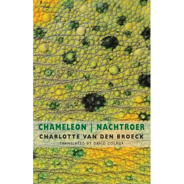 Chameleon / Nachtroer