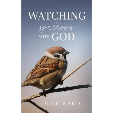 Watching the Sparrows with God