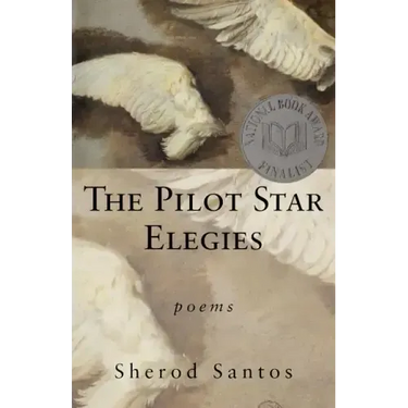 The Pilot Star Elegies: Poems