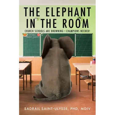 The Elephant in the Room: Church Schools Are Drowning-Champions Needed!