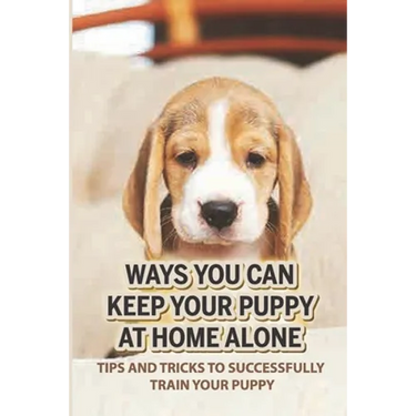 Ways You Can Keep Your Puppy At Home Alone: Tips And Tricks To Successfully Train Your Puppy: How To Keep A Dog Happy When Home Alone